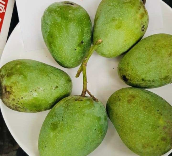 मधेश प्रदेशलाई राष्ट्रिय आँप केन्द्र बनाउने उद्देश्यले दोस्रो पटक ‘ आँप सम्बन्धि विचार गोष्ठी ’ हुँदै